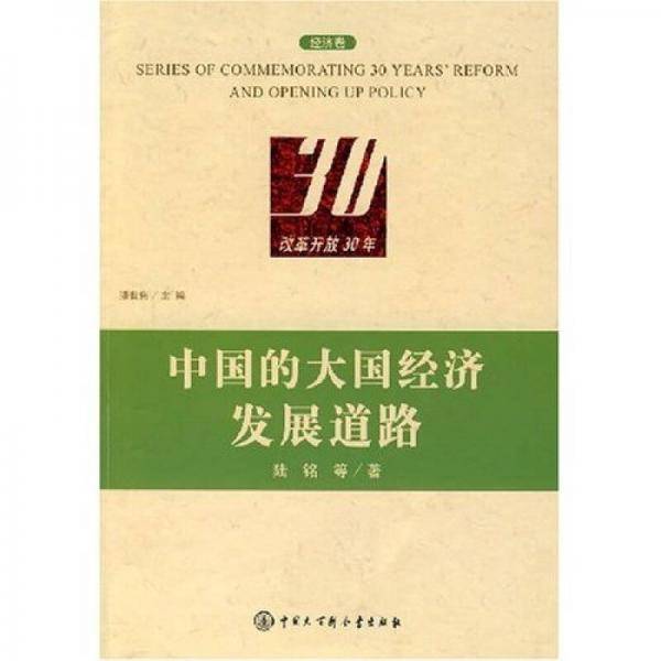 中国的大国经济发展道路