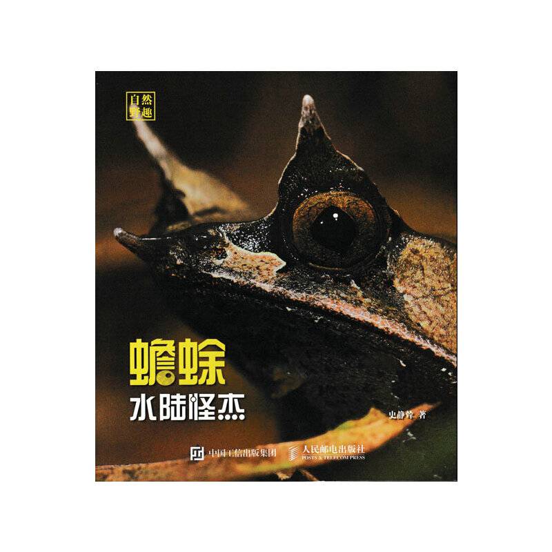 水陆怪杰 蟾蜍