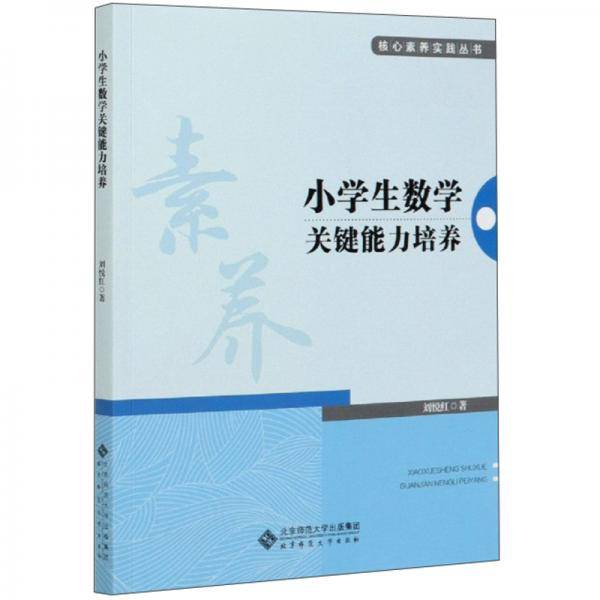 小学生数学关键能力培养/核心素养实践丛书