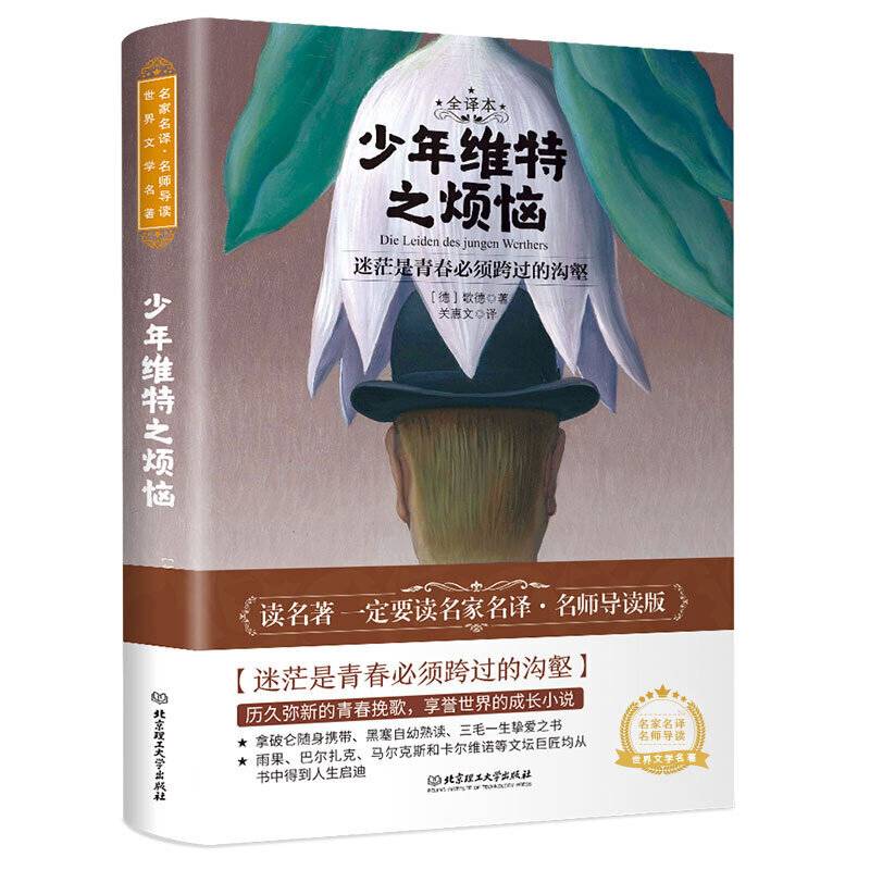 少年维特之烦恼 世界名著 中小学生课外阅读推荐书籍