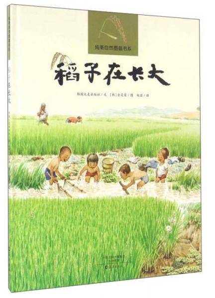 稻子在长大