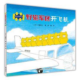 野猫军团开飞机