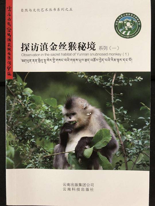 探访滇金丝猴秘境系列（一）