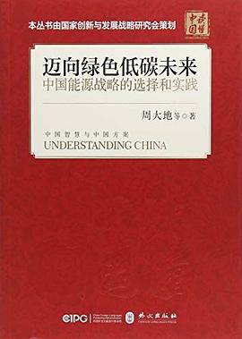 迈向绿色低碳未来----中国能源战略的选择和实践