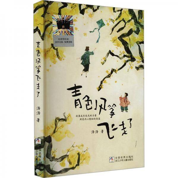 青色风筝飞走了 汤汤