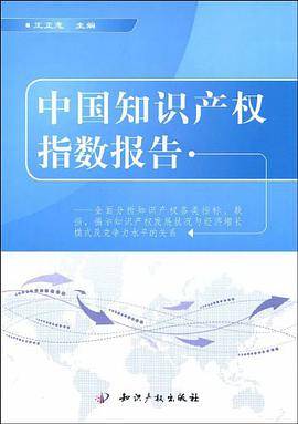 中国知识产权指数报告