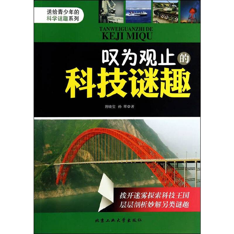 送给青少年的科学谜趣系列：叹为观止的科技谜趣