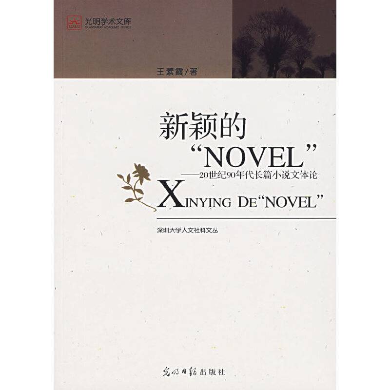 新颖的NOVEL