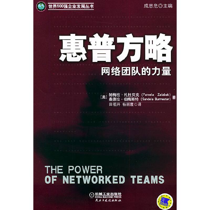 惠普方略：网络团队的力量——世界500强企业发展丛书