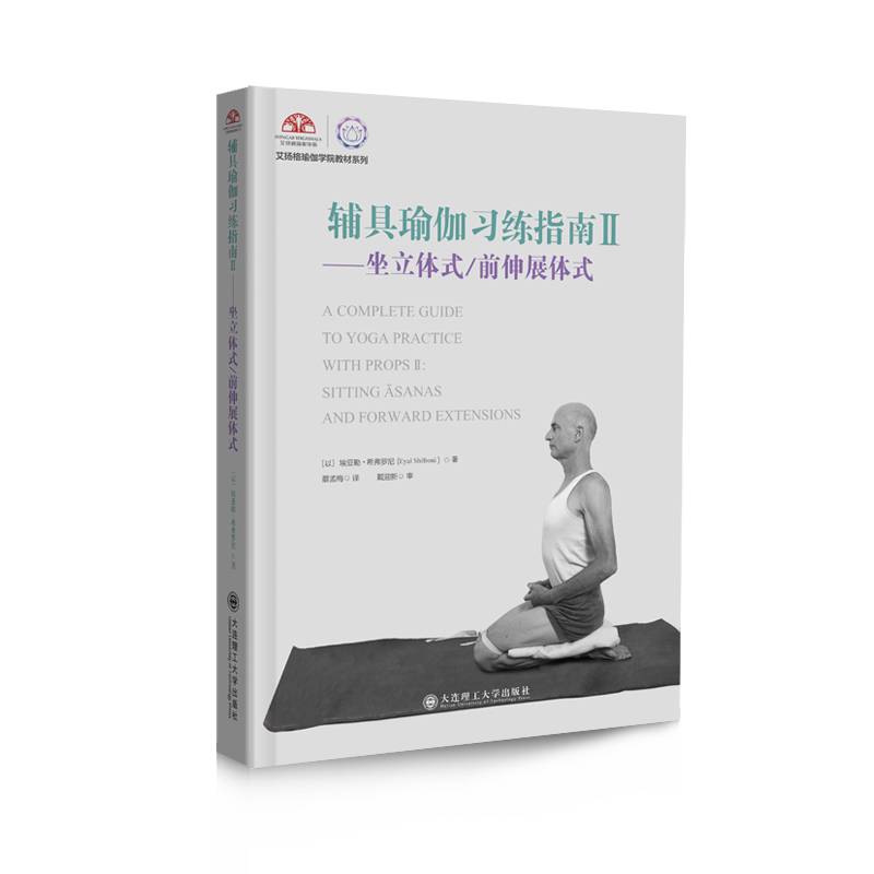 辅具瑜伽习练指南 2