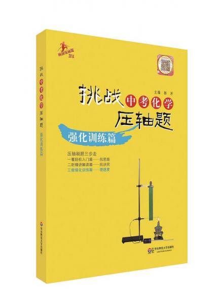 2014挑战中考化学压轴题：强化训练篇
