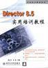 Director 8.5实用培训教程