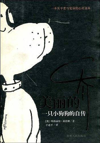 美丽的乔