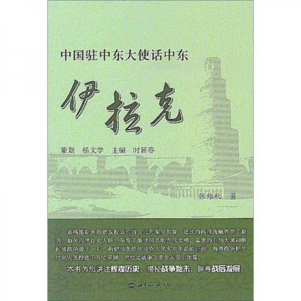 中国驻中东大使话中东