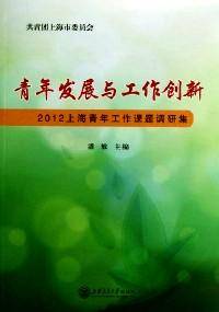 青年发展与工作创新