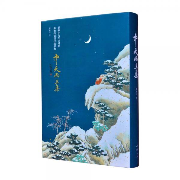 中天而立集