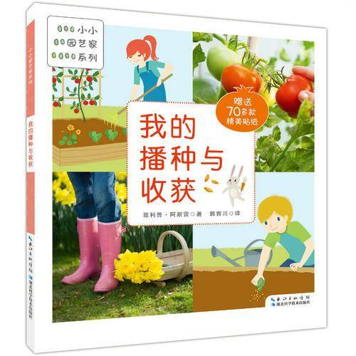 我的播种与收获
