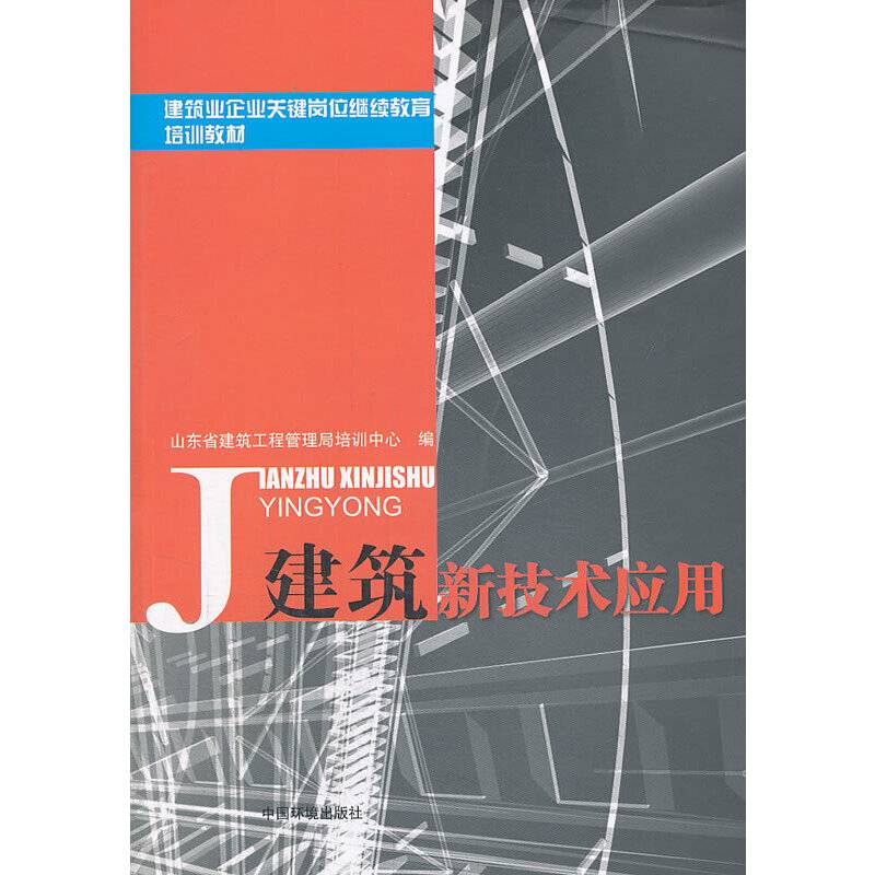 建筑新技术应用/建筑业企业关键岗位继续教育培训教材