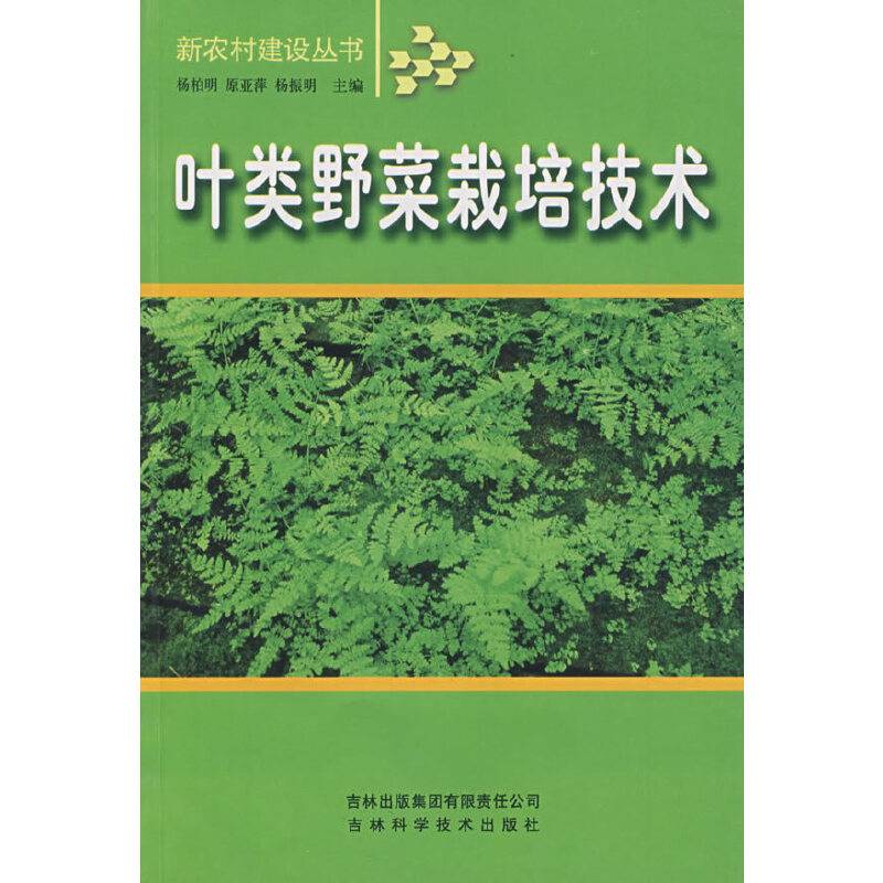 叶类野菜栽培技术