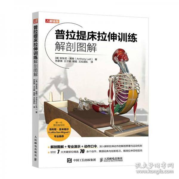 普拉提床拉伸训练解剖图解