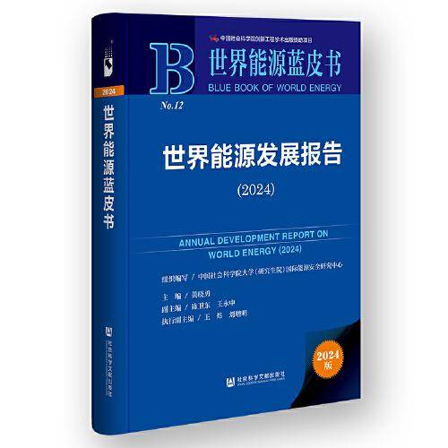 世界能源蓝皮书:世界能源发展报告
