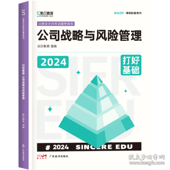 打好基础 公司战略与风险管理