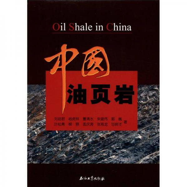中国油页岩