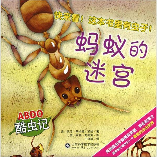蚂蚁的迷宫-ABDO酷虫记