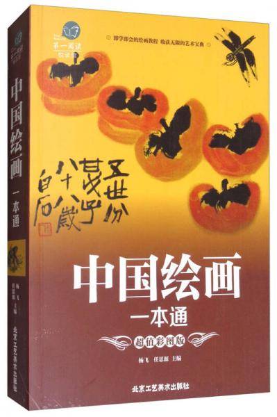 小孔子鸟