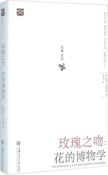 玫瑰之吻