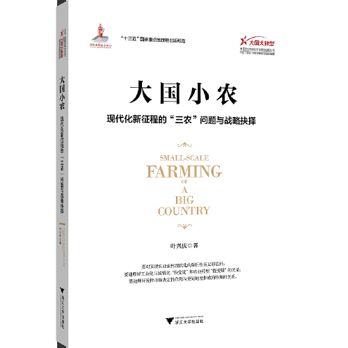 大国小农：现代化新征程的“三农”问题与战略抉择