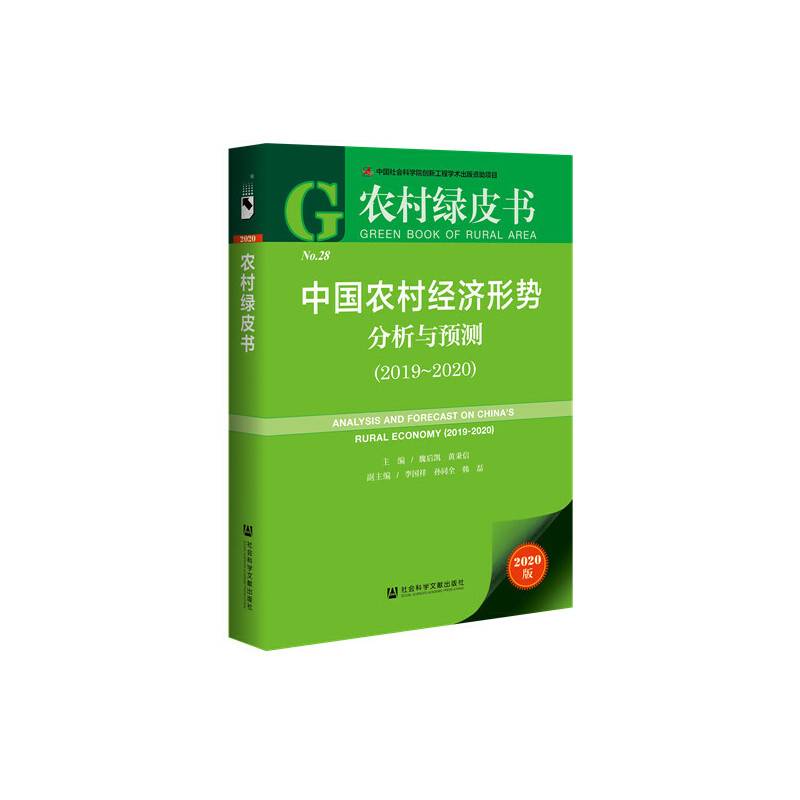 中国农村经济形势分析与预测（2019～2020）