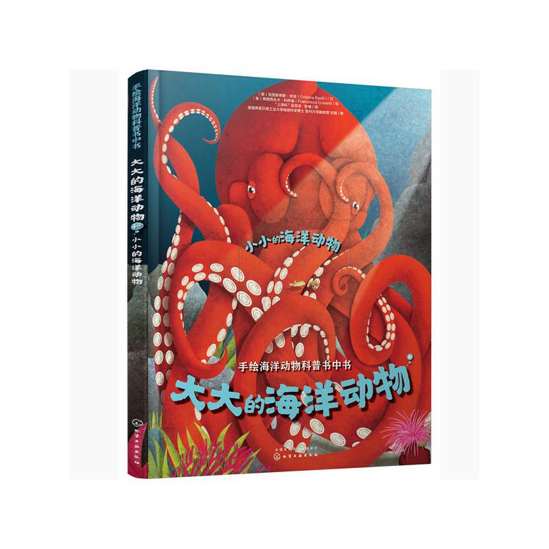 大大的海洋动物和小小的海洋动物