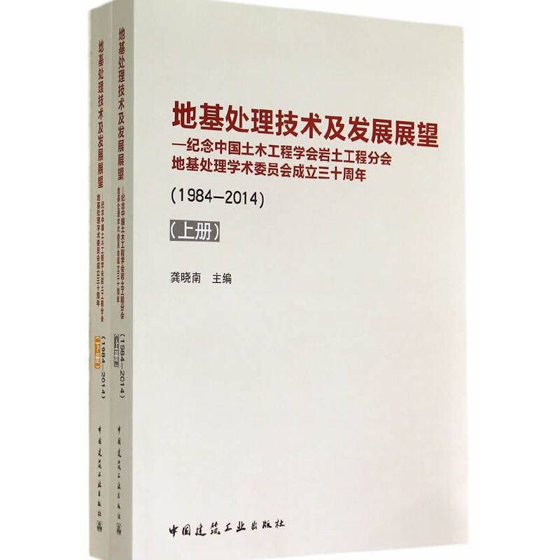 地基处理技术及发展展望——纪念中国土木工程学会岩土工程分会地基处理学术委员会成立