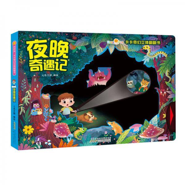 夜晚奇遇记