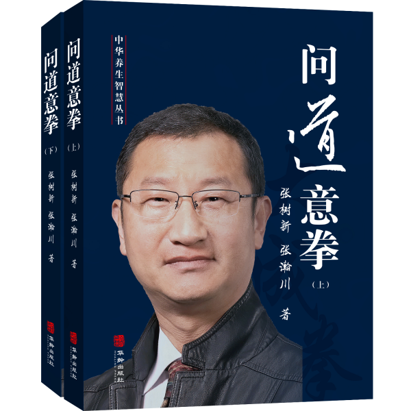 问道意拳 张树新,张瀚川