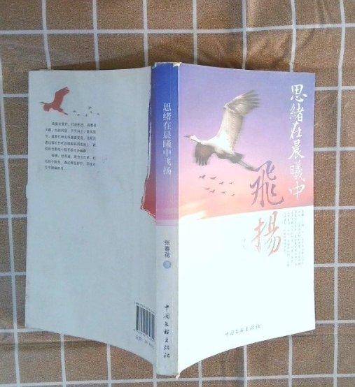 思绪在晨曦中飞扬