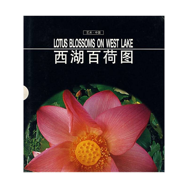 故国秋声