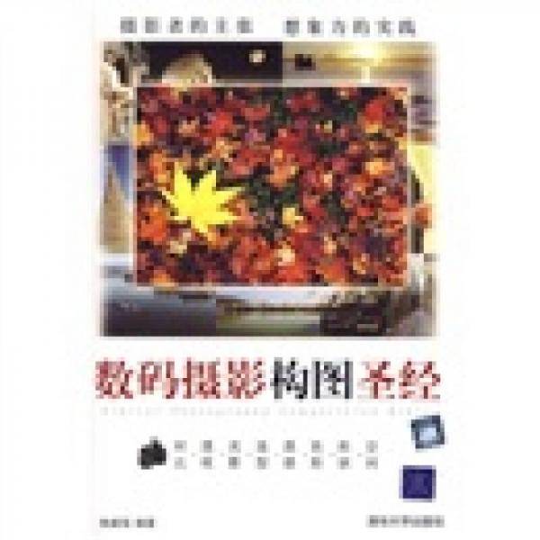 数码摄影构图圣经