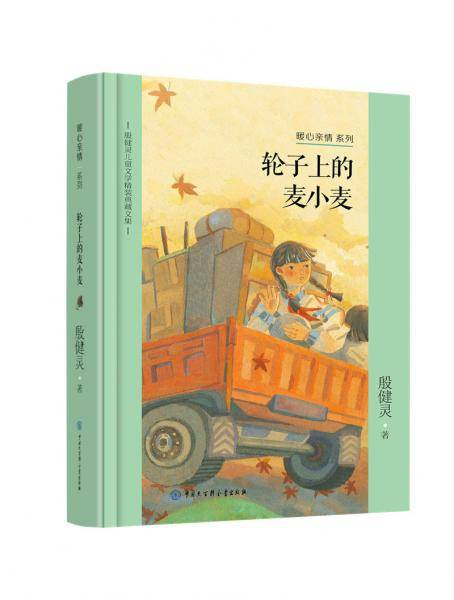 殷健灵儿童文学精装典藏文集--轮子上的麦小麦