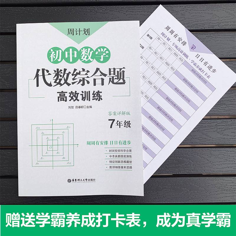 周计划：初中数学代数综合题高效训练