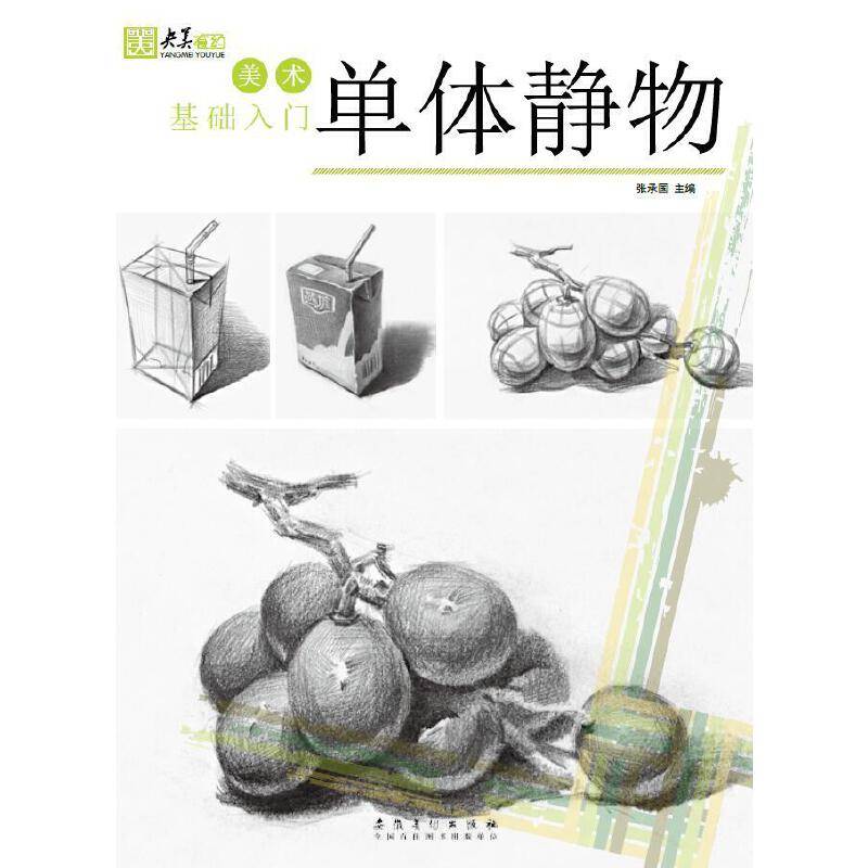 单体静物/美术基础入门