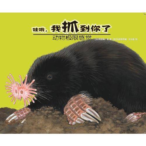 动物极限感觉-哇哦，我抓到你了