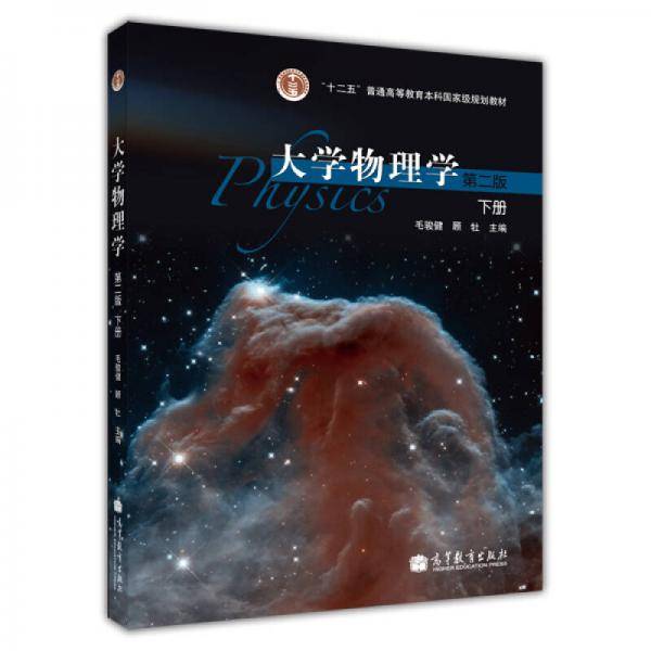大学物理学（第2版 下册）