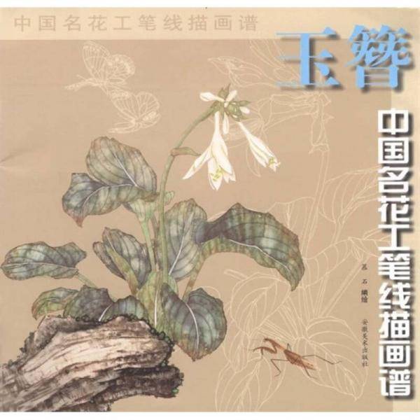 玉簪/中国名花工笔线描画谱