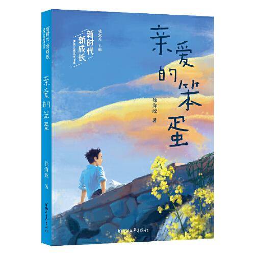 亲爱的笨蛋（新时代新成长系列）