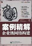 案例精解企业级网络构建