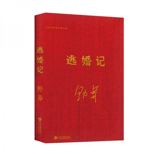 逃婚记