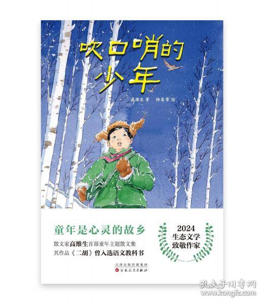 吹口哨的少年