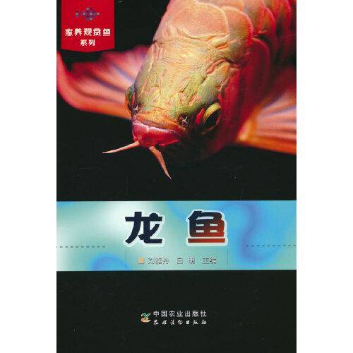 龙鱼(家养观赏鱼系列)